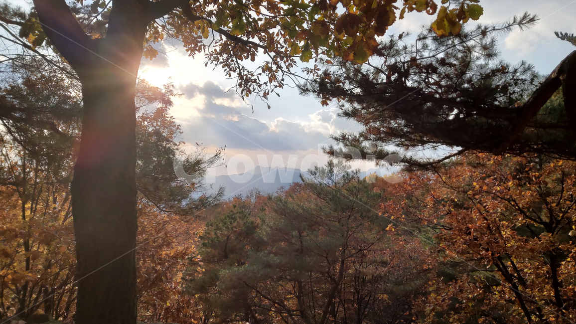 불암산,산,가을,단풍,햇살,자연,경치,buramsan,mountain,fall,atumncolors,sunlight,nature,landscape,가을,계절,fall,autumn,season