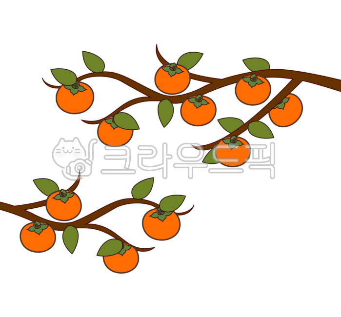 border,Persimmon illustration,Persimmon png,autumn stationery,fall decoration,Chuseok illustration,Chuseok stationery,leaf,Thanksgiving,holiday,fall stickers,Fall decoration,Persimmon tree picture,Fall Family Newsletter,kindergarden,Chuseok png,persimmon,
