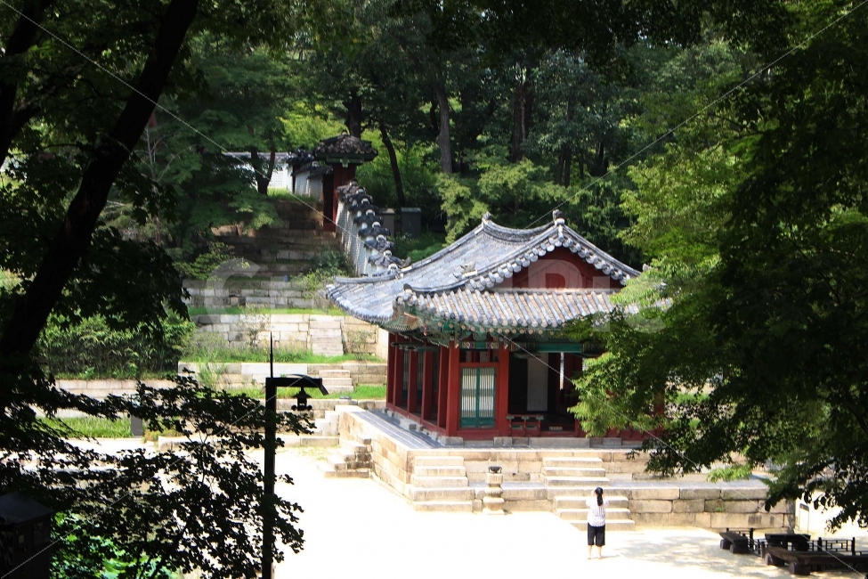 기와지붕,청동지붕,지붕,집,건물,창덕궁,창덕궁후원,후원,한옥,전통,건축,기와,궁,궁전,문,통로,통과,길,바닥,돌,자연,풍경,nature,landscape,랜드마크,landmark,tourist attraction,한국전통,한국문화,korean traditional,korean culture,architecture,건축물,building