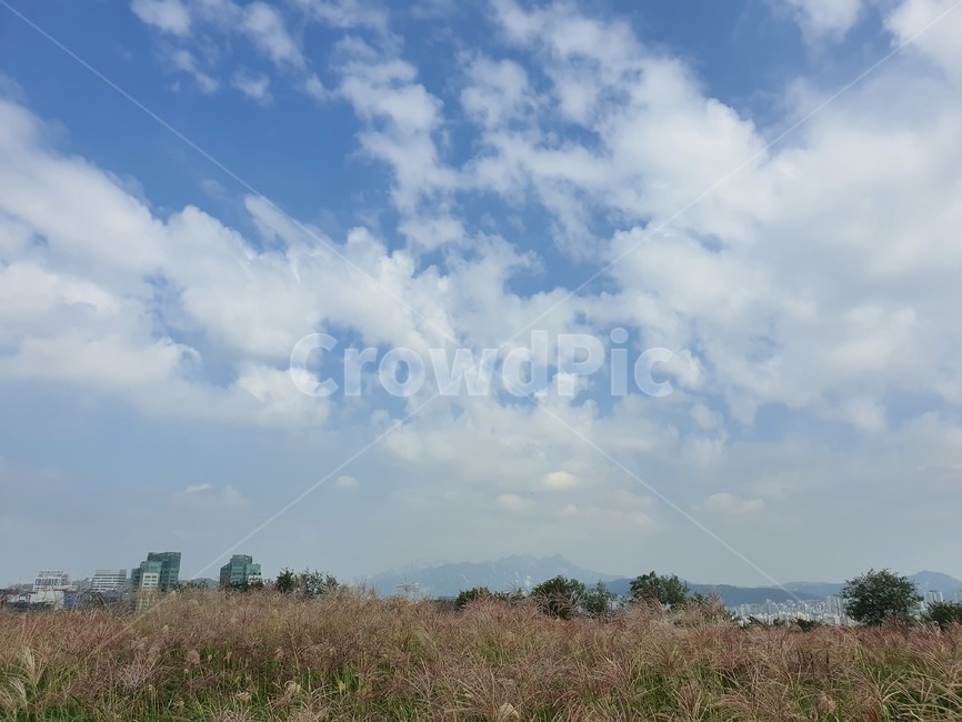 nature,자연,구름,cloud,하늘,sky,적운,하늘공원,자연,풍경,nature,landscape,weather,날씨,outdoors,옥외,cumulus