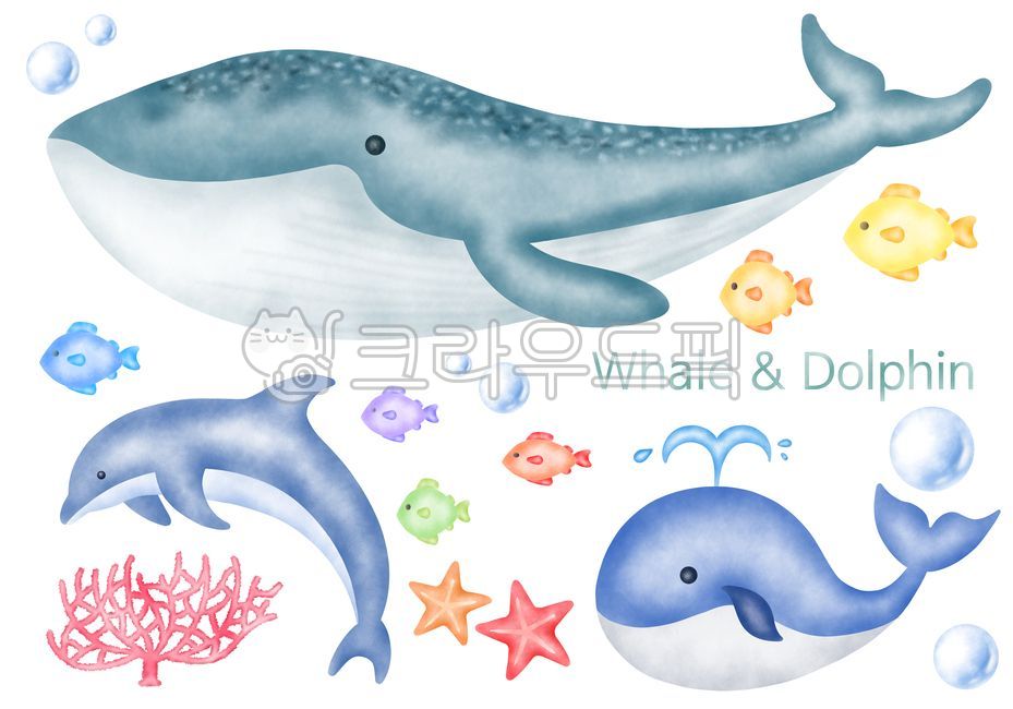 일러스트,배경,바탕,여름배경,여름,손그림,시즌배경,바다,대양,바다속,바닷속,자연,수생,다채로운,수중,물속,동물군,아쿠아,야생동물,컬러,계절,생태,아이콘,컬렉션,흰색,그림,옥외,벽지,디자인,그래픽,수채화,일러스트레이션,여름일러스트,여름이미지,nature,summer,season,art,graphic,illustration,simple,icon,ocean,sea,outdoors,drawing,handmade,고래,돌고래,귀여운,물고기그림,열대,열대어,물고기,바다물고기,불가사리,산호,물,물방울,거품,바닷물,놀이방,파스텔,파랑,노랑,수족관,관상용,휴가,방학,누끼,투명스티커,다이어리,다이어리꾸미기,다꾸스티커,파스텔톤,라벨,패턴,무늬,마스킹,여름환경판,환경판,합성,소스,장식,꾸미기,더위,디자인소스,스티커,굿노트스티커,데코,dolphin,animal,동물,sealife,해양생물,mammal,포유류,whale