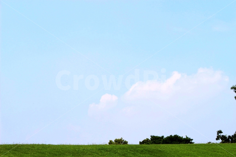 하늘,나무,식물,자연,야외,공원,정원,풍경,자연,풍경,nature,landscape,outdoors,옥외,grassland,목초지,field,들