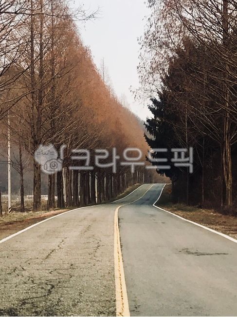 trail,Drive course,sand ash,road name,tree,metasequoia