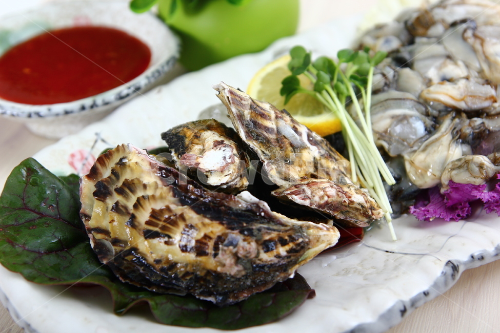 석화,굴,생굴,해산물,조개,신선,싱싱,음식,식품,dish,oysters,seafood,shellfish,fresh,crispy,food,음식,식재료,요리,food,cook,meal,dishes,food reserves,수산물,해산물,fishery products,seafood