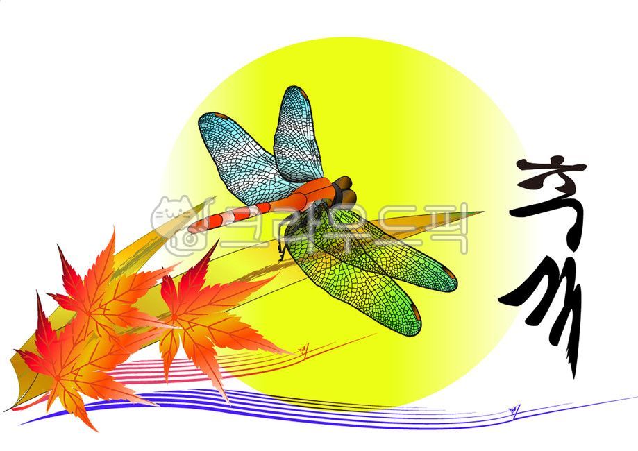 blue sky,dragonfly,red dragonfly,fall,anisoptera,insect,fall picture,animal,autumn leaves,invertebrate,Chuseok,calligraphy