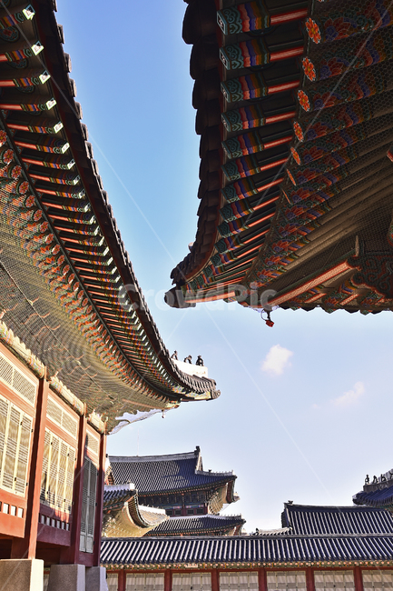한국전통,고궁,경복궁,명소,서울,traditional,korean,palace,기와,단청,조선시대,궁궐,building,structure,ancientpalace,gyeongbokgungpalace,house,배경,바탕,백그라운드,background,건물,건축물,패턴,pattern,처마