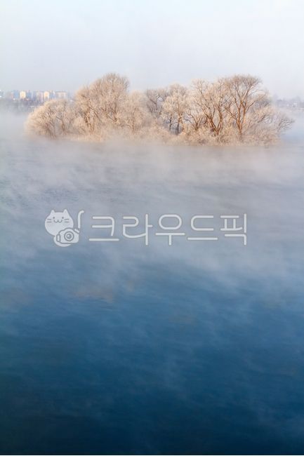 상고대,서리,눈꽃,소양강,소양호,겨울,물안개,안개,물,강,호수,추운,차가운,아침,나무,야외,실외,풍경,강원도,춘천시,춘천