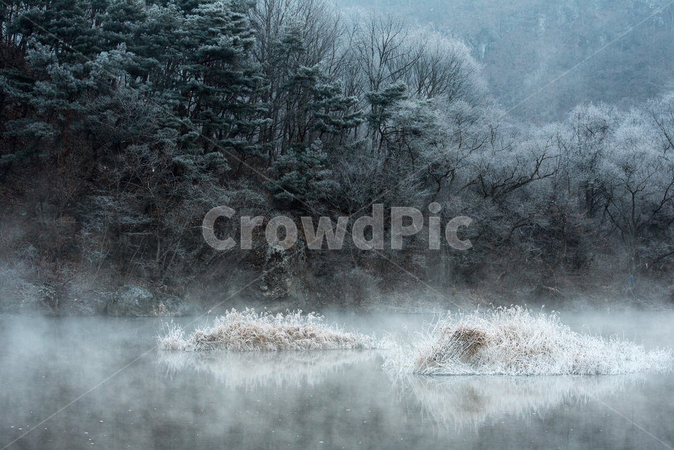 상고대,전북진안,용담댐,겨울풍경,겨울,자연현상,겨울왕국,겨울,계절,winter,season,자연,풍경,nature,landscape,한국자연풍경,한국자연경관,korea nature landscape,outdoors,옥외,weather,날씨