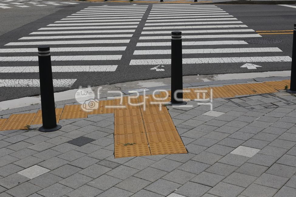crosswalk,road,intersection,road name,asphalt,Traffic Light