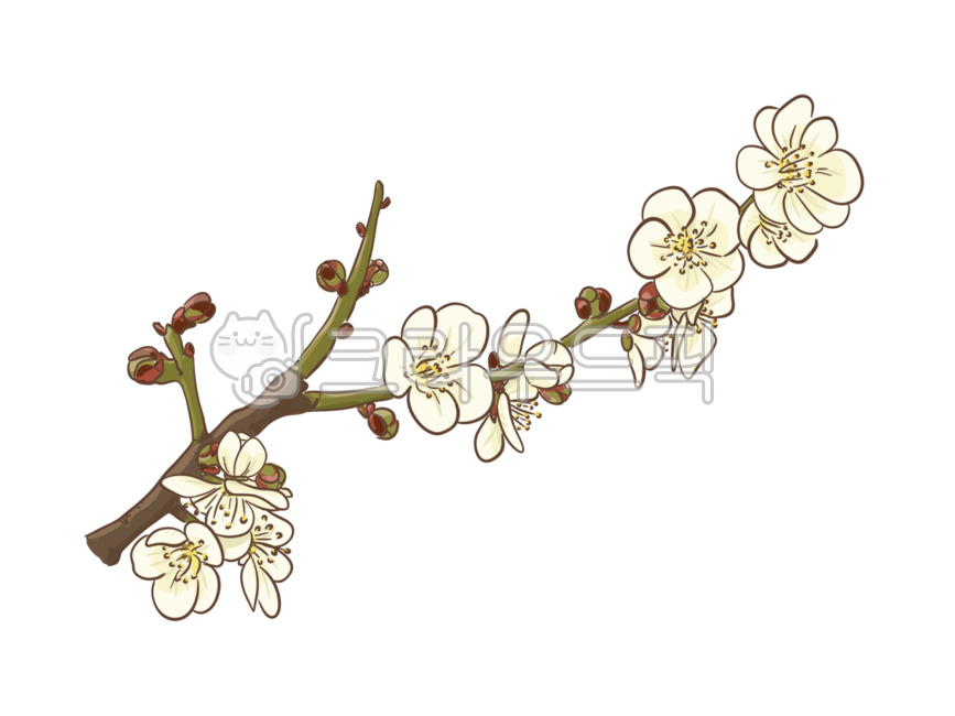 매화,꽃,봄,꽃송이,꽂다발,나뭇가지,식물,나무,자연,배경,일러스트,그림,이미지