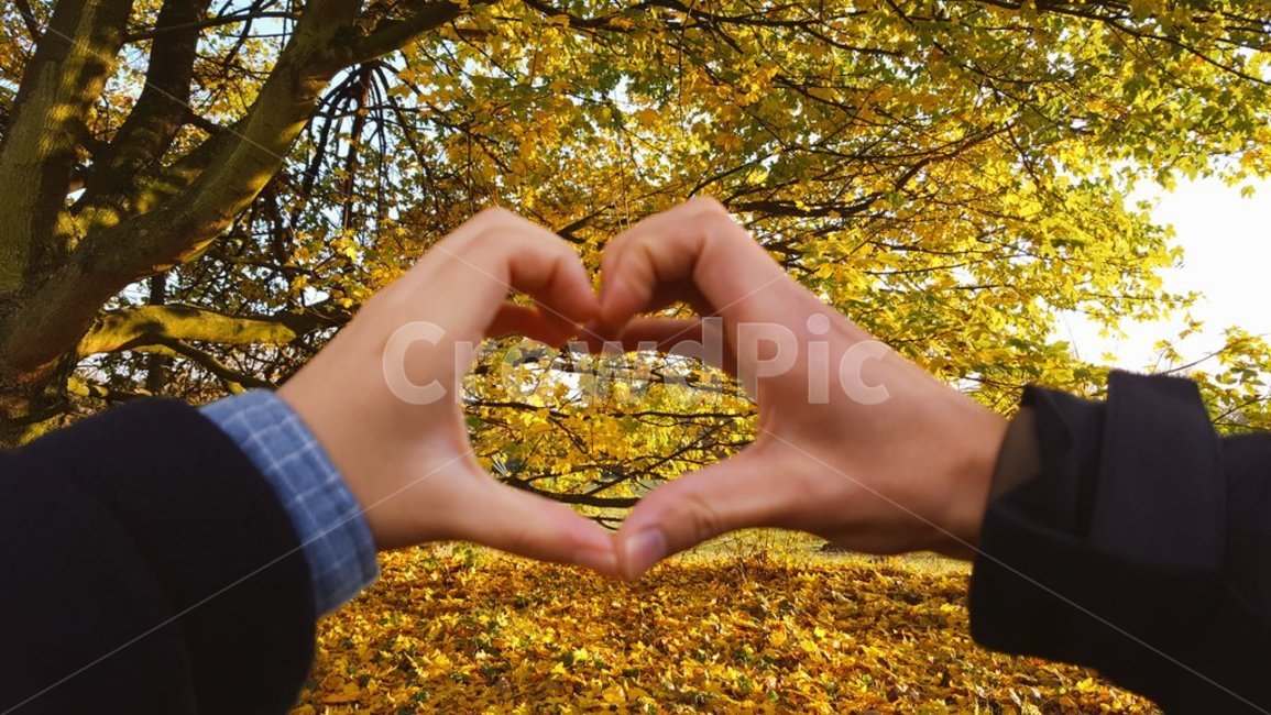 데이트,가을,하트,낭만,감성,낭만사진,감성사진,낙엽,연인,사랑,love,date,autumn