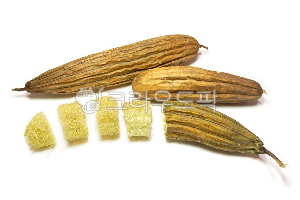 kitchen scrubber,loofah fruit,Success,eco,environmentallyfriendly,medicinal herbs,kitchen utensils,medicinal crops,environmental,natural,Environmentally friendly,Ecofriendly scrubber,dry,edibility,thin,Cheonra,plant,environmentally friendly,environmentall