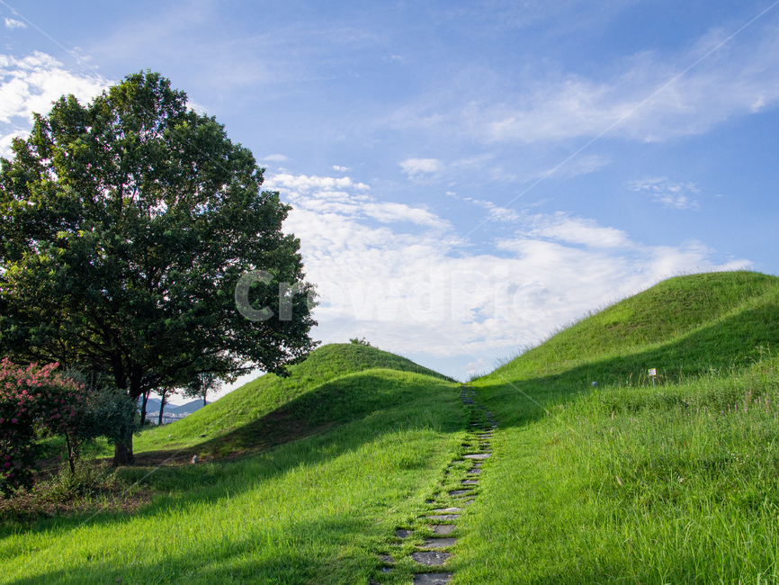 field,들,grassland,outdoors,옥외,풍경,공원,자연,자연,풍경,nature,landscape
