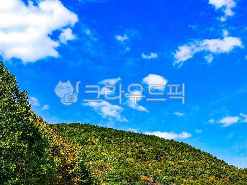 동산,푸른하늘,구름,하얀구름,뭉게구름,숲,자연,옥외,풍광,나무,밀림,녹음,녹색,푸른색,하얀색,배경,백그라운드,산