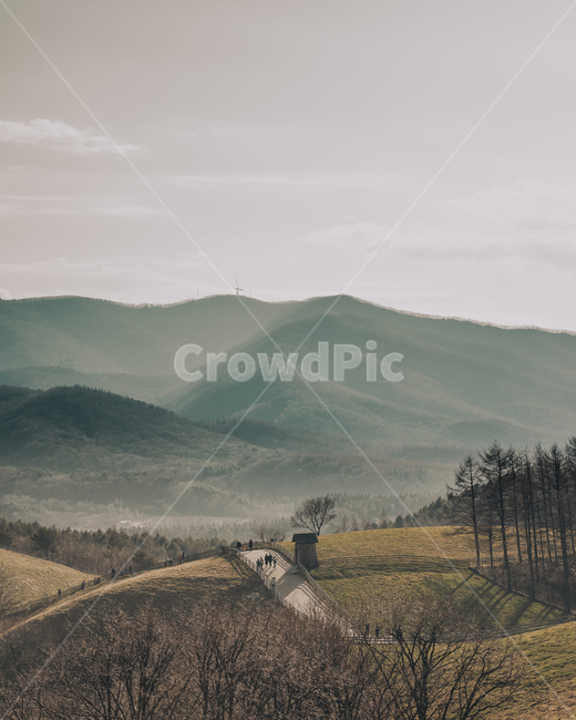 countryside,hill,대관령,삼양목장,풍경,강원도,흐린날,nature,자연,outdoors,감성,빛,자연,풍경,nature,landscape,한국자연풍경,한국자연경관,korea nature landscape