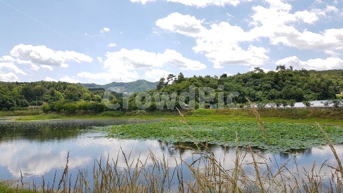 하늘,자연,nature,water,물,저수지,시골,한적함,오후,거울,풀