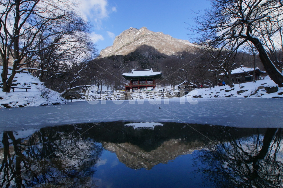 내장산,백양사,쌍계루,설경,국립공원,겨울,계절,winter,season,자연,풍경,nature,landscape,한국자연풍경,한국자연경관,korea nature landscape
