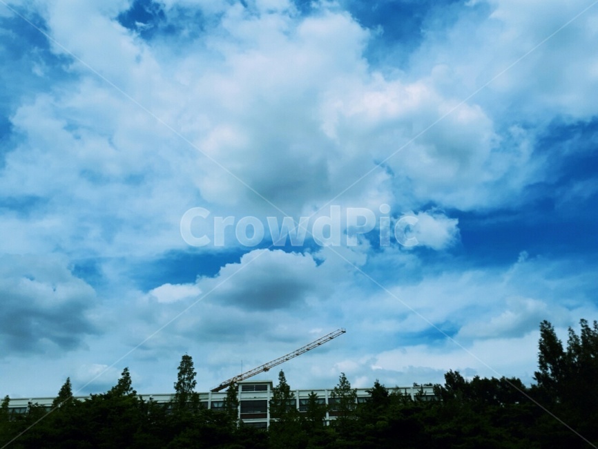 nature,자연,outdoors,옥외,하늘,sky,푸른하늘,azuresky,풍경,건물,나무,구름,감성,감성사진,감성적,자연적,자연사진,자연풍경,풍경사진,자연속,자연환경,환경,환경사진,환경속