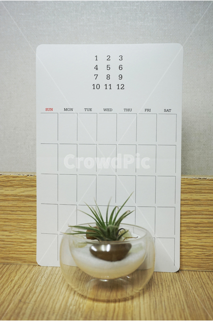 달력,탁상달력,캘린더,2018,일정,년,월,일,사무실,기념일,날짜,일자,요일,1월,2월,3월,4월,5월,6월,7월,8월,9월,10월,11월,12월,주간,월간,디자인,이벤트,휴일,계획,시즌,화이트,겨울,봄,여름,가을,일정관리,오브젝트,생활,식물,자연,plants,nature,인테리어,실내디자인,interior design,사물,물건,오브젝트,thing,object,matter