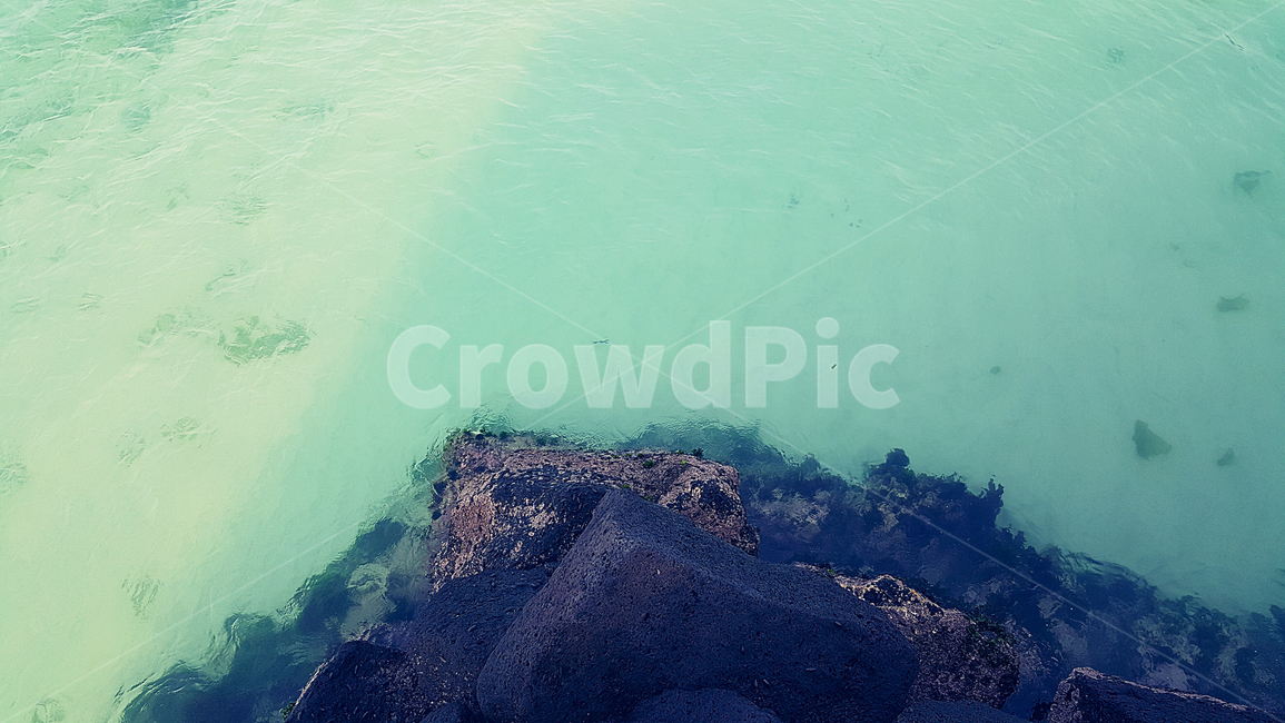 바다,파도,물결,해변,강물,배경,자연,해안,자연,풍경,nature,landscape,outdoors,옥외,water,물,sea,ocean,대양,scenery