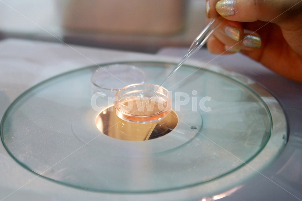 실험,연구,화학,과학,실험도구,화학실험,손,실험실,스포이드,기구,experiment,chemistry,사람,인물,인간,human,person,신체일부,몸,body,교육,학교,공부,education,learning,study,school