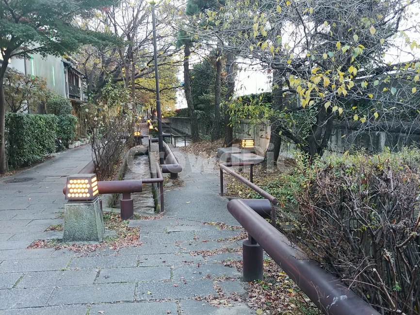 길거리,가로수길,가로수,식물,길,street,roadsidetrees,plant,tree,road,japaneroad