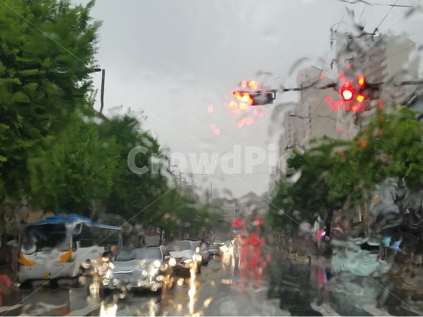 비오는날,감성사진,비,수채화,풍경,비,비오는날,rain,rainy,교통,교통수단,traffic,transportation,city,시티,urban,어반,building,건물,town,도시,metropolis,중심지,pedestrian,보행자,road,도로,asphalt,아스팔트