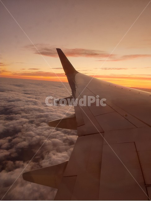 일출,airplane,비행기,sunset,하늘,sunlight,항공기,노을,교통,transportation,sunup,sunrise,light,자연,nature,구름,cloud,outdoor,석양,햇빛,태양,sun,sky,교통,교통수단,traffic,transportation