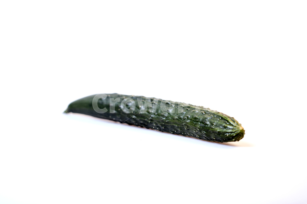 오이,가시오이,야채,채소,식물,열매,음식,디저트,웰빙,신선한,프레쉬,새콤한,달콤한,비타민,다이어트,건강,배경,백그라운드,아웃포커스,접사,근접,누끼,오브젝트,컨셉,음식,식재료,요리,food,cook,meal,dishes,food reserves,채소,야채,vegetables,누끼,remove background