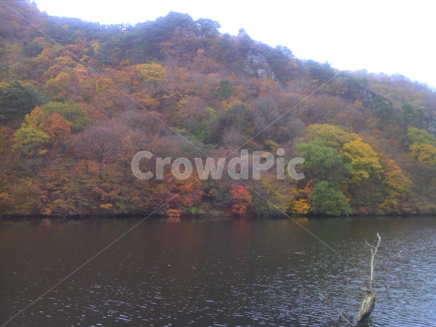 단풍,가을,주산지,청송,저수지,가을,계절,fall,autumn,season,water,물,nature,자연,outdoors,옥외