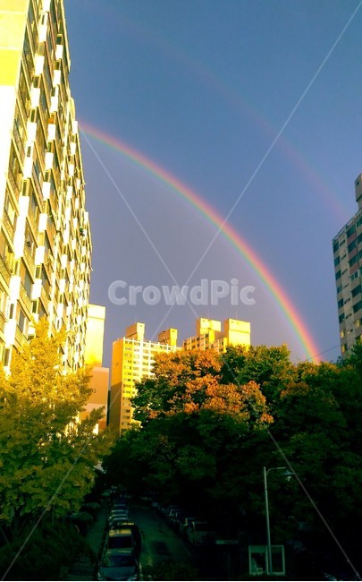 무지개,쌍무지개,rainbow,자연,하늘,nature,outdoors,옥외,sky,행운,풍경,색깔,색상,색채,색감,color