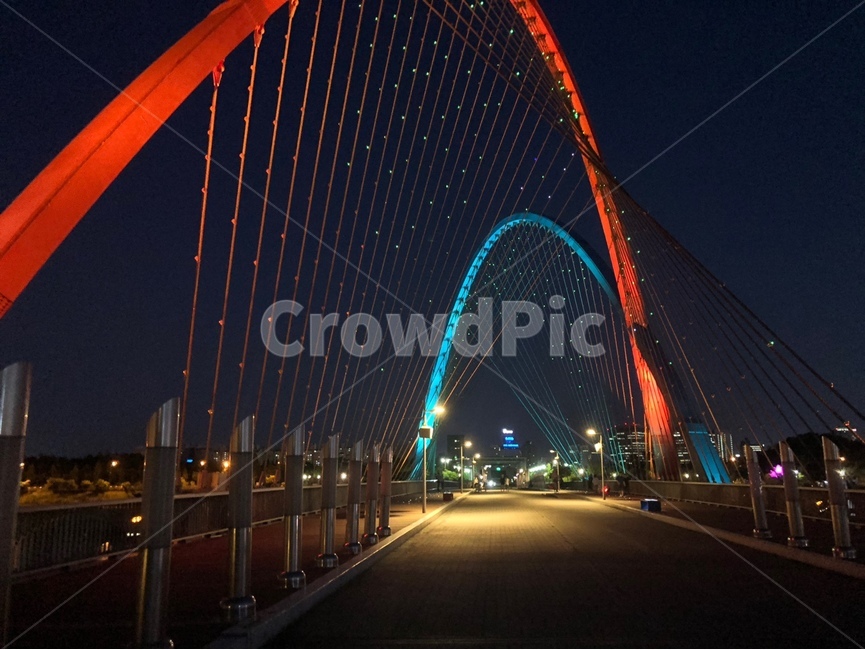 건물,건축물,building,architecture,다리,웅장한,엑스포다리,감성,야경,밤,풍경,nightscape,night,landscape,랜드마크,landmark,tourist attraction,한국랜드마크,한국관광지,한국명소,korea landmark,korea tourist attraction