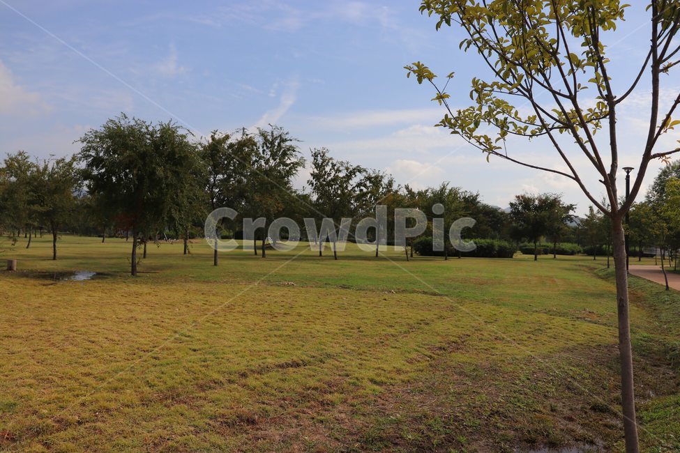 공원,넓은공원,공원나무,가을공원,산책,자연,풍경,nature,landscape,grass,잔디,plant,식물,lawn,park,outdoors,옥외
