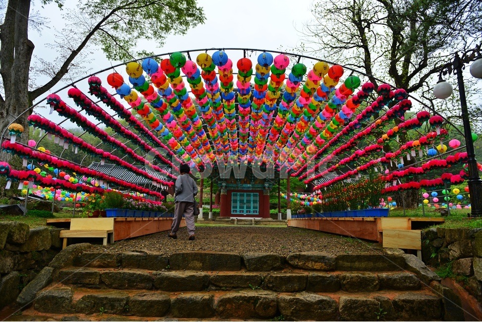 human,person,사람,walkway,보도,path,통로,화순,쌍봉사,연등,부처님오신날,초파일,불교,사찰,절,계단