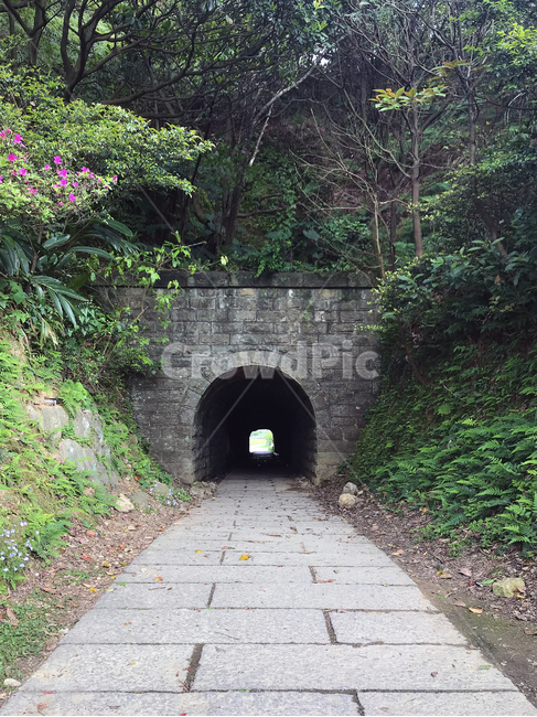 터널,정원,꽃,자연,나무,돌,길,좁은,대만,지우펀,beautiful,flower,forest,garden,grass,green,landscape,narrow,natural,nature,outdoor,path,road,stone,street,taiwan,tree,trees,tunnel,view,walk