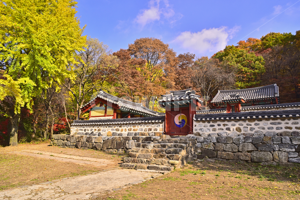 maple forest,Taegeuk symbol,building,healing,leaves,Korean natural scenery,season,natural,tree,Namhansanseong Fortress,shrine,traditional,Autumn sensibility,background,plant,stonewall,autumn,colorful,forest,Korean traditional style,architectural style,fal
