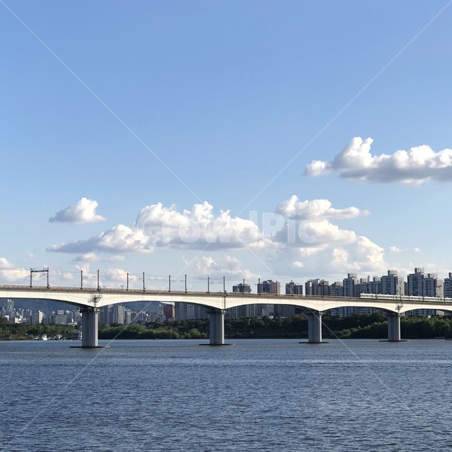 한강,서울,다리,망원한강,bridge