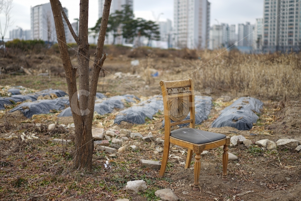 일상,의자,체어,휴식,공간,배경화면,배경,풍경,스냅사진,소니,a7m2,자연,느낌,사물,물건,오브젝트,thing,object,matter