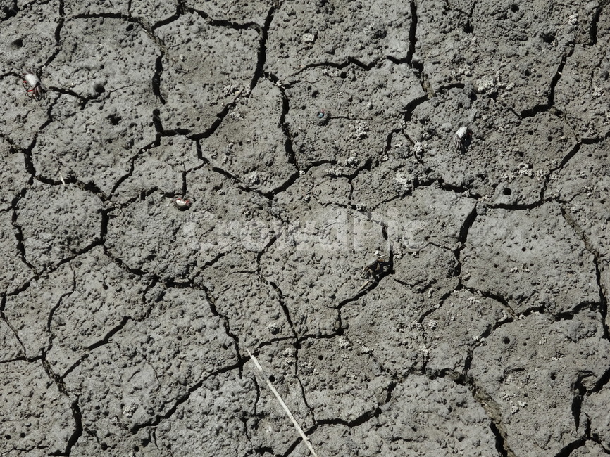 soil,흙,ground,바닥,crack,갈라짐,매마름,텍스처,질감,패턴,texture,pattern