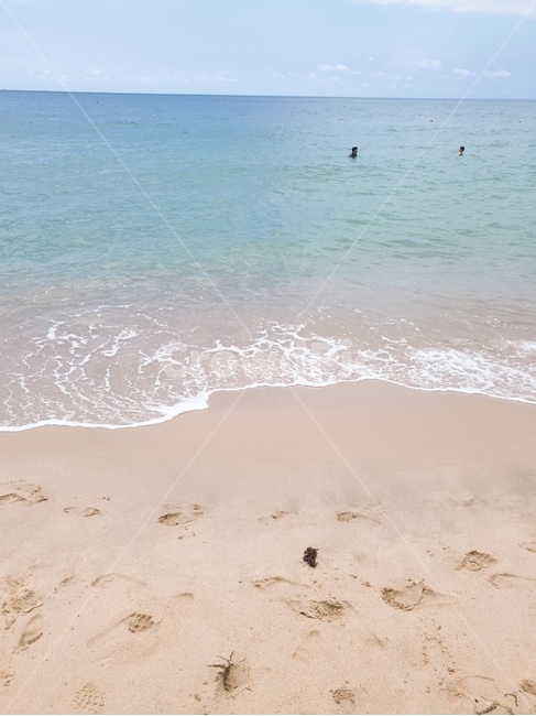 sea,물,해안선,자연,바다,옥외,대양,shoreline,outsoors,water,nature,ocean