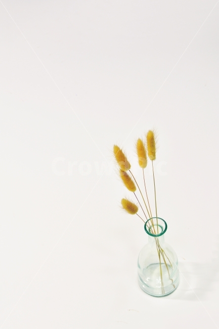 빈티지,화병,유리병,드라이플라워,투명,반사,텅빈,스페이스,프레임,frame,공간,white,화이트,흰색,출판,편집,책자,서적,사보,카다로그,시안,디자인,디자이너,콘텐츠,리플렛,브로셔,컨셉,콘셉,컨셉트,모바일,팝업,전단,광고,sns,ebook,웹,마케팅,마켓팅,건조,마른꽃,꽃,분위기,필,느낌,감성,구성,연출,feeling,emotion,복고풍,레트로,엔틱,Vintage,retro,antique,엔티크,색다른,개성,사물,오브젝트,object,보라색꽃,들꽃,말린꽃,인테리어,실내디자인,interior design,사물,물건,오브젝트,thing,object,matter,연출,컨셉,콘셉,direction,concept,누끼,remove background