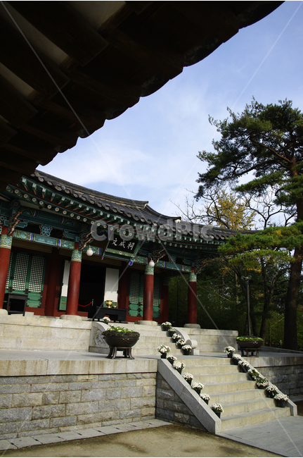 오죽헌,사당,신사임당,기와,지붕,기와지붕,한국,전통가옥,한국전통,한국문화,korean traditional,korean culture,랜드마크,landmark,tourist attraction,한국랜드마크,한국관광지,한국명소,korea landmark,korea tourist attraction,건축물,건물외관,exterior,building,structure,architecture,construction