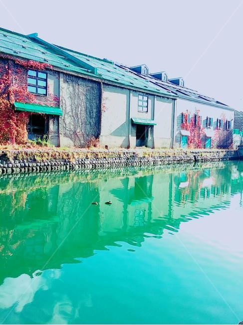 운하,canal,물,nature,감성