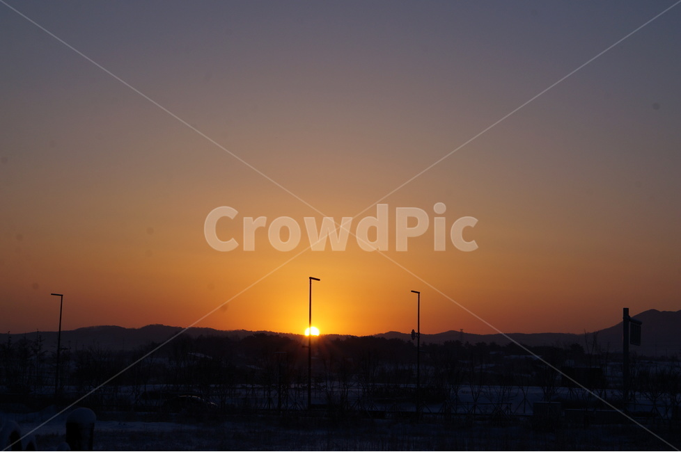 일출,해,풍경,자연,겨울,나무,자연,풍경,nature,landscape,실루엣,그림자,silhouette,shadow,outdoors,옥외,light,빛,flare,플레어,sky,하늘