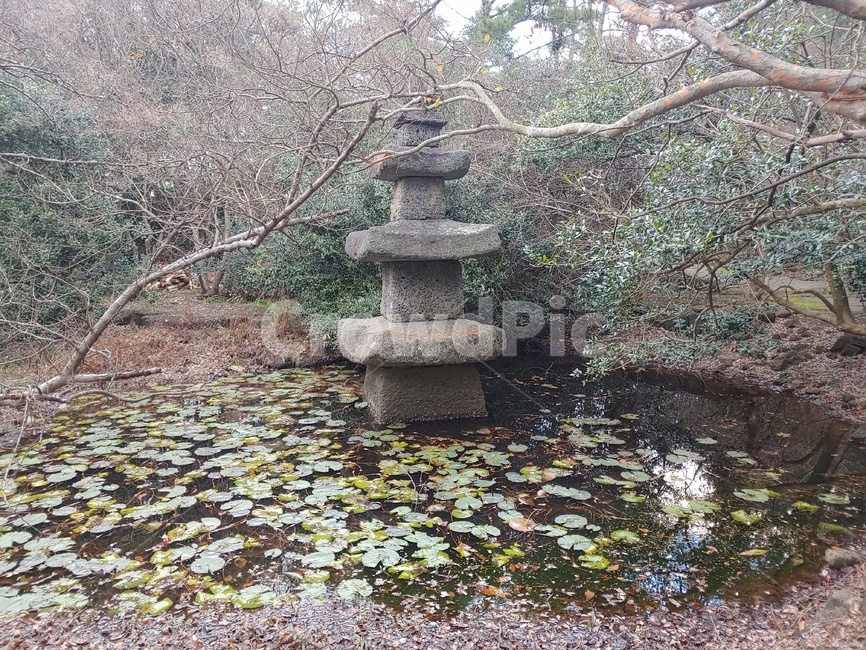 돌탑,석탑,연못,연잎,앙상한,쓸쓸한,겨울,pond,water,물,outdoors,옥외,nature,자연
