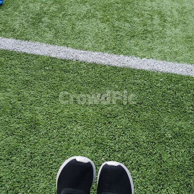 축구장,풋살,새싹,싱그러움,봄날