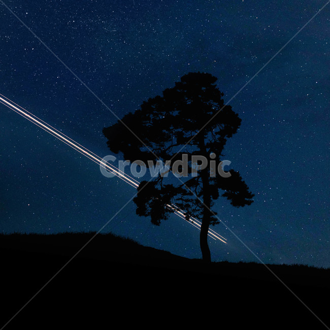 나무,야경,비행기,밤,별,은하수,sky,airplane,nature,자연,자연,풍경,nature,landscape,야경,밤,nightscape,night
