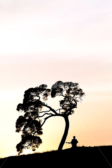 감성,나무,노을,저녁노을,특이한나무,실루엣,그림자,silhouette,shadow,인물실루엣,사람실루엣,character silhouette,human silhouette,nature,자연,outdoors,옥외,person,사람,human,인간
