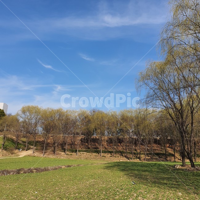 nature,outdoors,자연,옥외,field,잔디,grass,목초지,grassland,들,plant,식물,하늘,구름