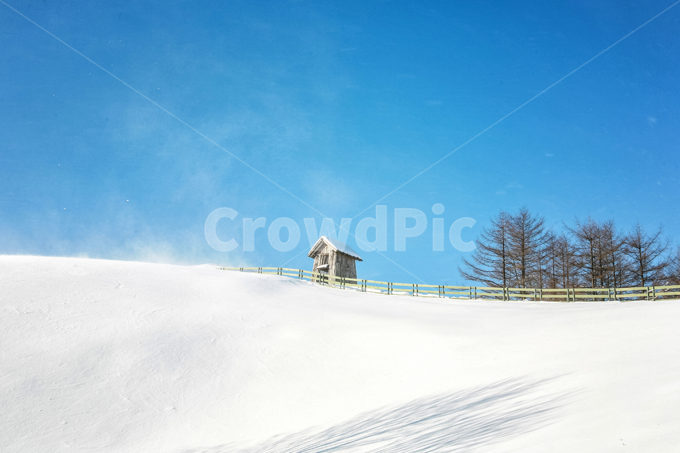 설경,설원,겨울,눈,스노우,화이트,겨울풍경,계절,겨울,계절,winter,season,자연,풍경,nature,landscape